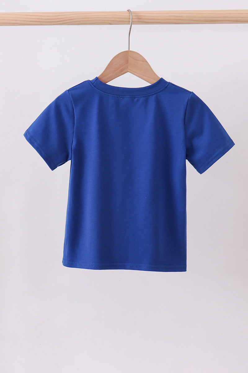 Blue 250 Years flag family top